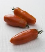 ����ȥ꡼�ܵ���ڡ��ȥޥ��� �֥�󥴡�9cm�ݥåȡڣ�����ܡ�5����ȯ��ʬͽ���