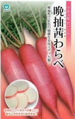 �ݼ�������� ���갫���� 1.3ml ��͹���б���