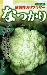 �ե��м��ġ��ѽ�������ե����ʤĤ��ꡡ1.2ml����͹���б���