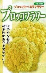 �ե��м��ġ��֥��å��꡼���֥��å��ե���1.2ml����͹���б���