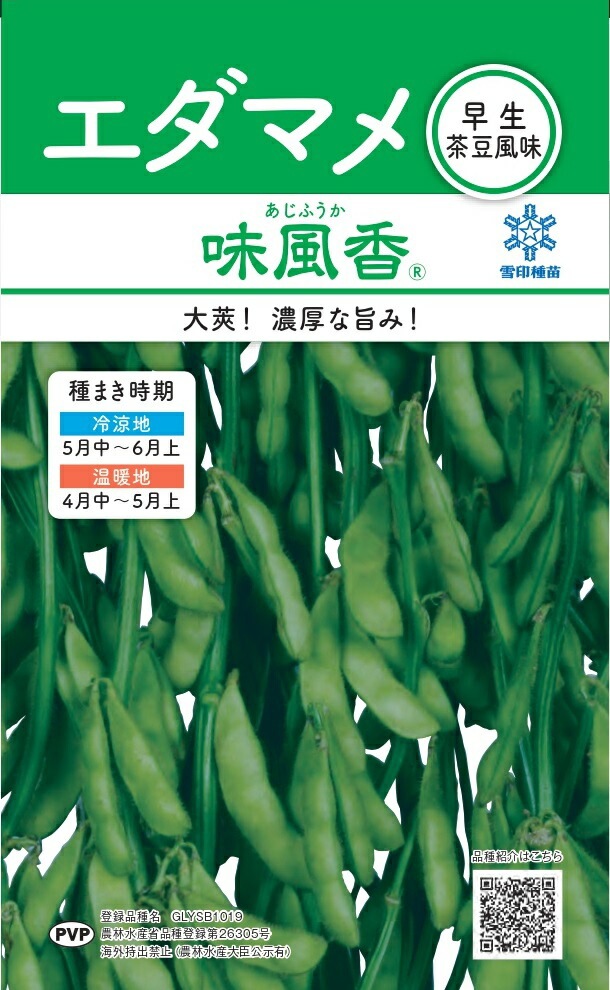 雪印種苗「エダマメ 味風香（あじふうか）」のタネ [内容量:30ml