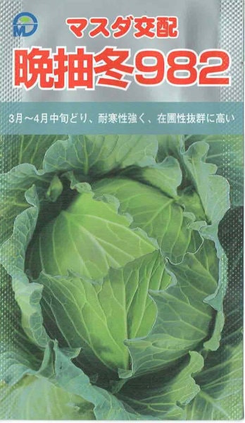 増田採種場 マスダ交配 キャベツ 晩抽冬982 ［内容量:約180粒
