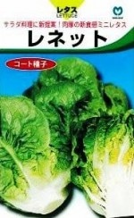 �ݼ�쥿������ͥåȡ������ȼ����40γ����͹���б���