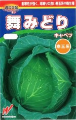 ��������������٥ġ���ߤɤꡡ��130γ����͹���б���