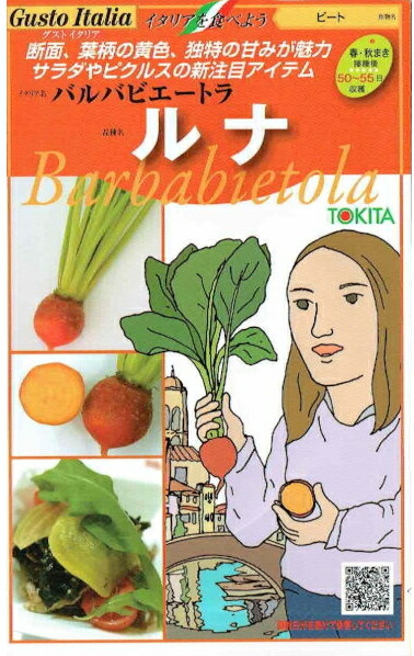 �ȥ������ġ������ȥ����ꥢ ��� (�ӡ���)��[�����̡�80γ]