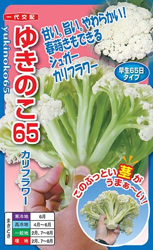 ナント種苗　カリフラワー　ゆきのこ65　コート種子約40粒【郵送対応】