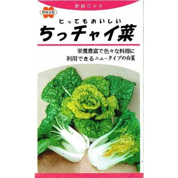 野崎採種場　ミニハクサイ　ちっチャイ菜　コート種子約150粒【郵送対応】