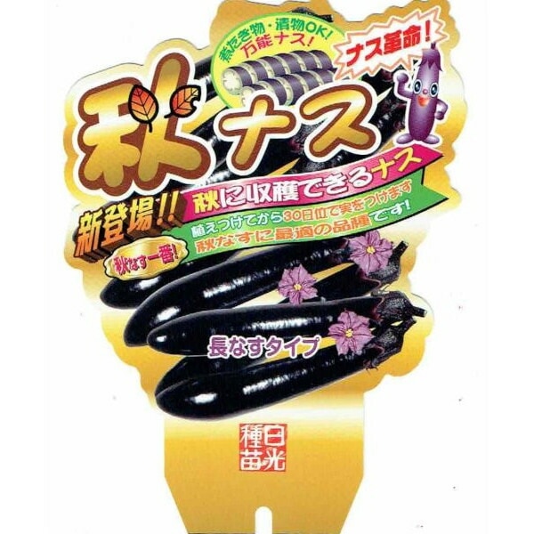 秋なすび（長なすタイプ）（実生苗）9cmポット苗 2本セット」【7月上旬