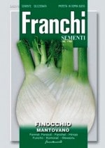��FRANCHI�ҡۡ�62/6�ۥե���ͥ롡MANTOVANO��8g