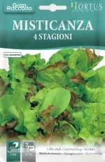 ��HORTUS�ҡۥߥå�������� Misticanza 4 Stagioni [�����̡�25g][COD.BGOMST020][4026]