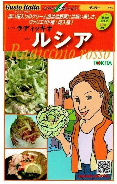 �ȥ������ġ������ȥ����ꥢ���륷�� (�����꡼) [�����̡���80γ]