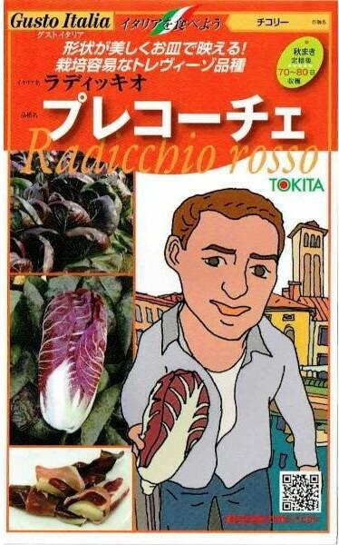 �ȥ������ġ������ȥ����ꥢ���ץ쥳������ (�����꡼) [�����̡���80γ]