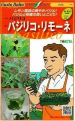 �ȥ������ġ������ȥ����ꥢ���Х��ꥳ����⡼�ͣ���[�����̡���200γ]