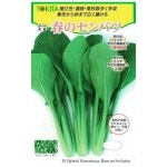 �ȥ������ġ����ޥĥʡ��դΥ���Хġ�[�����̡�10ml]