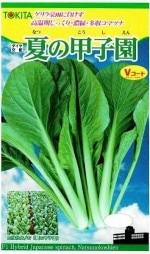 �ȥ������ġ����ޥĥʡ��Ƥιûұࡡ[�����̡�10ml]