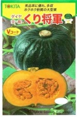 �ȥ������ġ����ܥ��㡡���꾭����[�����̡���7γ]