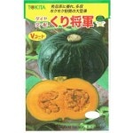 ȥġܥ㡡꾭[̡100γ]