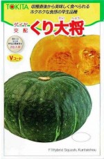 �ȥ������ġ����ܥ��㡡�����羭��[�����̡���7γ]