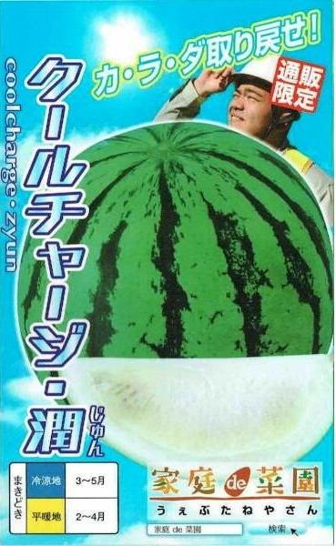 ナント種苗 スイカ サマーオレンジベビー 約7粒 【郵送対応】