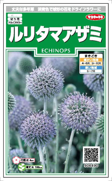 サカタのタネ ルリタマアザミ 1.5ml 【郵送対応】 | 【メーカー名から