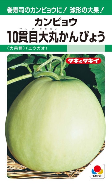 大ひょうたん60 サカタのタネ ヒョウタン 大ひょうたん 5ml【郵送対応】