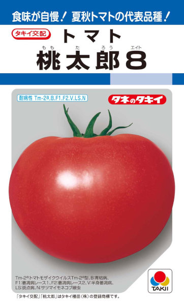 タキイ種苗　トマト　桃太郎８　約16粒【郵送対応】