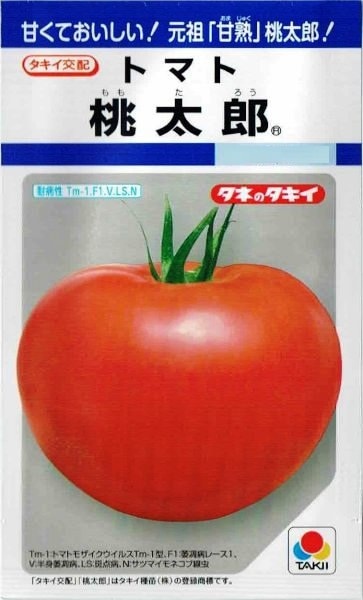 タキイ種苗 トマト 桃太郎 約35粒【郵送対応】 | 【メーカー名からタネ