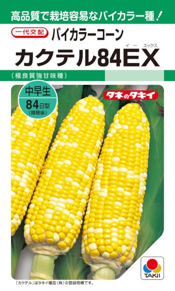 タキイ種苗 バイカラーコーン カクテル84EX 約40粒【郵送対応
