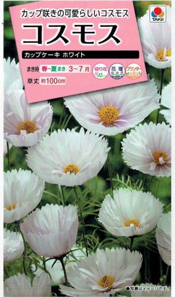 ���������ġ������⥹�����åץ������ۥ磻�ȡ�0.5ml��͹���б���