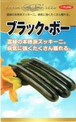 ���İ�����졡���å����ˡ��֥�å����ܡ���[�����̡���100γ]