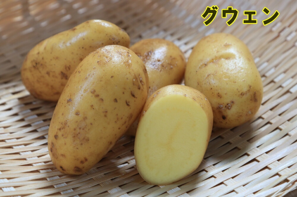 �ڼ兩�㥬���⡦�襤��ۥե����ݥƥȡ֥�������פμ露�㤬���⡡�󣵣��������ڽե��㥬�����ѡ��������ܡ������ȯ���ۡ��ʼ�̾����������_��Ͽ�ֹ桧��27933��_�������жػߡ�