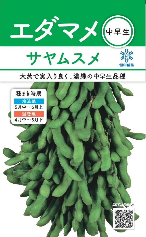 雪印種苗「エダマメ サヤムスメ」のタネ [内容量:30ml] | 【メーカー名