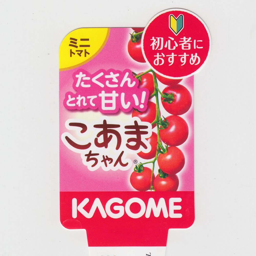 カゴメのミニトマト苗「こあまちゃん」9cmポット【4月中旬～5月上旬