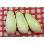 �ȥ������ġ��ʥ����ġ��ʤ����� �֤Ȥ�����ݤʤ���9cm�ݥåȡڣ�����ܡ�5����ȯ��ʬͽ���