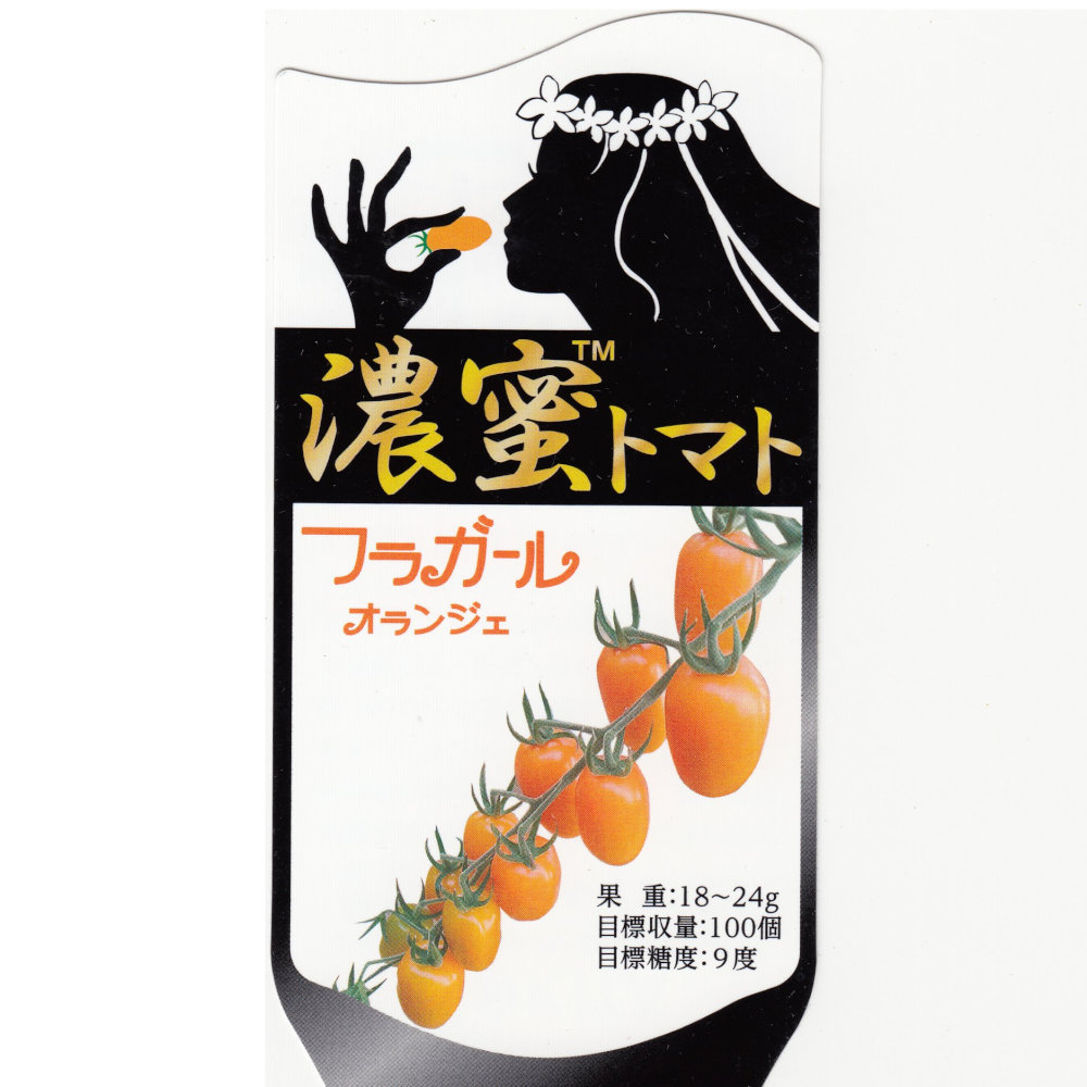 【marudoraさま専用】MIB 挿木苗 ほか2点 Amazon | シャチハタ 印鑑 ハンコ ネーム9 XL-9 印面9.5ミリ 増田