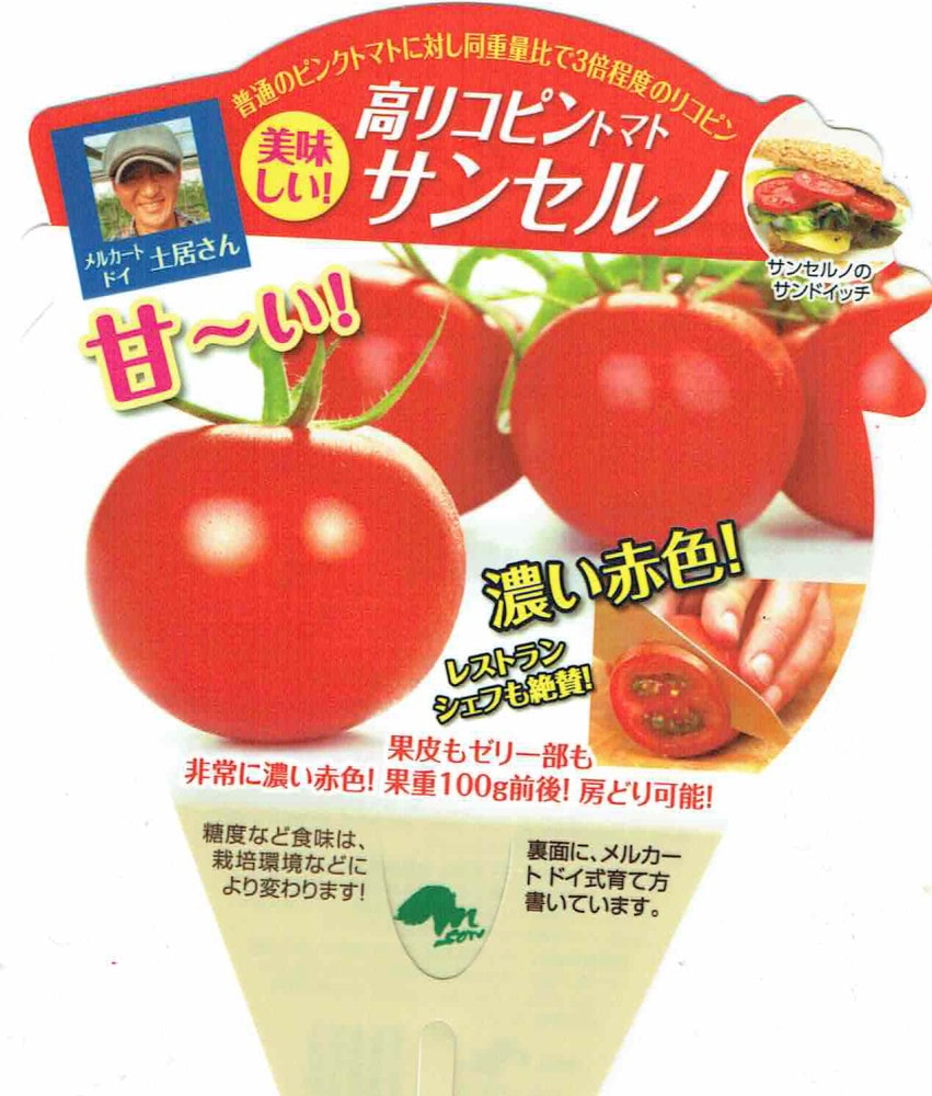 トマト エムソン企画の高リコピントマト苗「サンセルノ」(旧名：LEON レオン