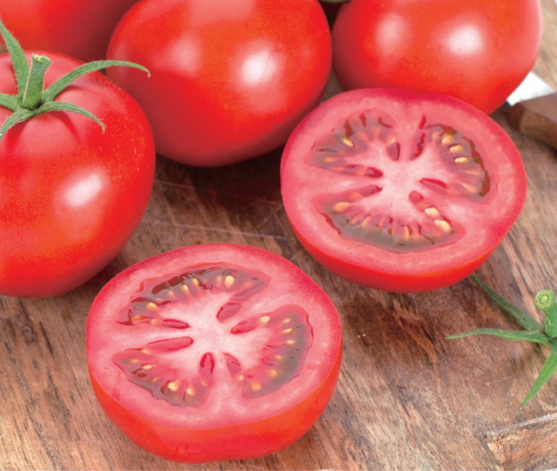 トマト フルーツトマト1K箱 | 夏 Summer fruits,フルーツトマト