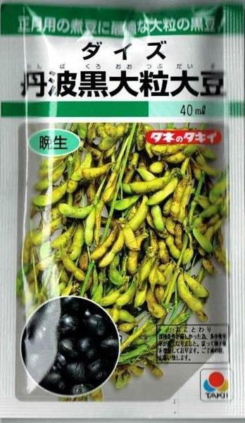 タキイ種苗 丹波黒大粒大豆 35ml 【郵送対応】 | 【メーカー名からタネ