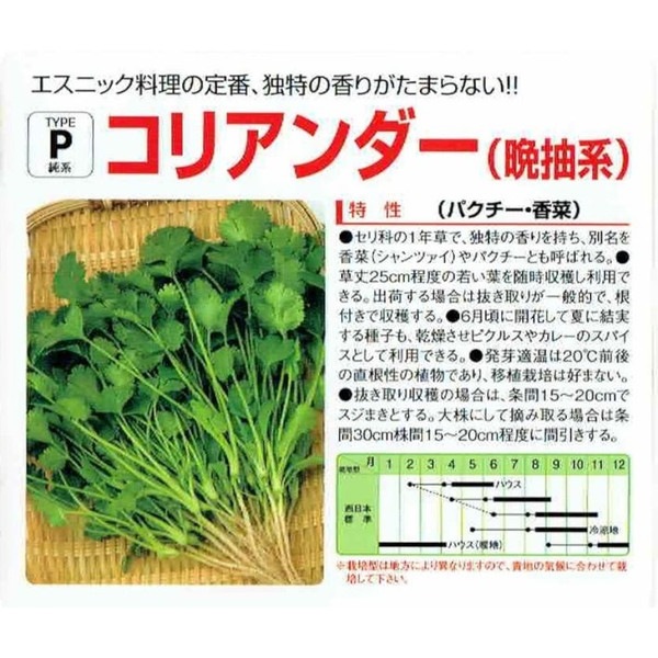中原採種場 晩抽系コリアンダー（パクチー・香菜） 20ml 【郵送対応