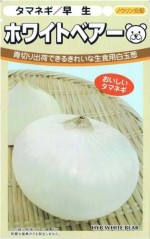 �������Ӽҡ����ޥͥ����ۥ磻�ȥ٥������ڥ�åȼ��200γ����͹���б���