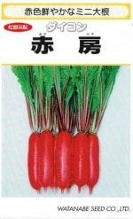 ���պμ�졡����������˼��4.1ml ��͹���б���