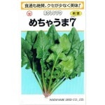 պμ졡ۥ󥽥㤦ޣ1dl ͹б