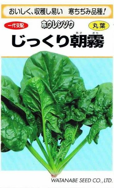 ���պμ�졡�ۥ���󥽥������ä���ī̸��3000γ��͹���б���