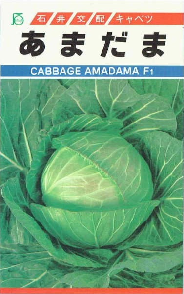 а졡٥ġޤޡ[̡200γ]