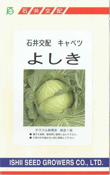 �а���졡����٥ġ��褷����[�����̡���200γ��]