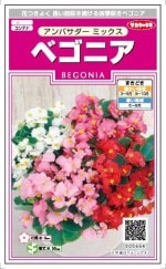 Υ͡٥˥ Хߥå30γ ͹б