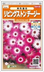 �������Υ��͡���ӥ󥰥��ȥ�ǡ������������硡0.2ml ��͹���б���