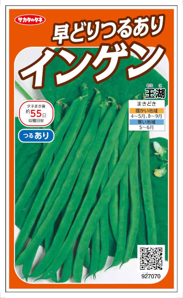 �������Υ��͡���ɤ�¿���ϤĤ뤢�ꥤ�󥲥� ���С�26ml ��͹���б���