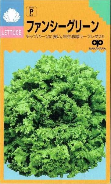 レタス種子 コート種子 パスポート 5000粒×4ケ 楽天市場】タキイ種苗