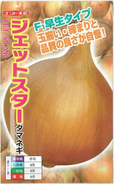 ジェットスター タマネギ 100g ナント種苗 タマネギ ジェットスター玉葱(早生タイプ）小袋